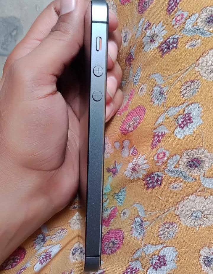 Apple iPhone 5s 2