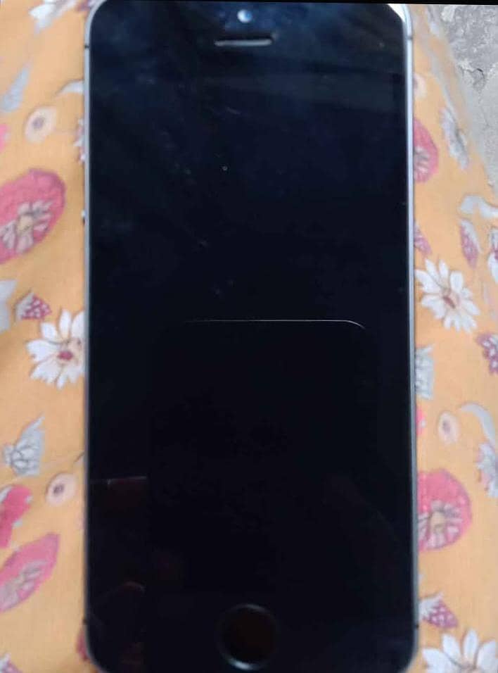 Apple iPhone 5s 7