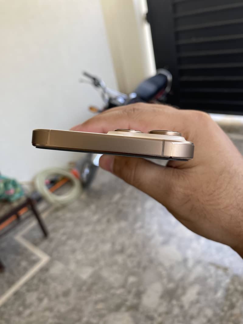 Apple iPhone 16 Pro Max 1