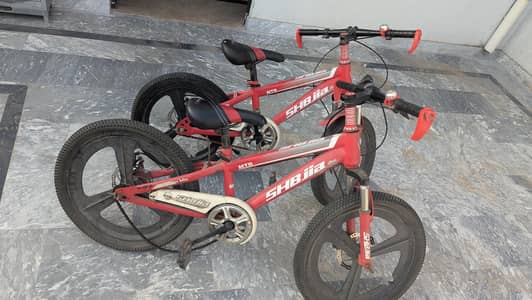 Two Boy Bicycles