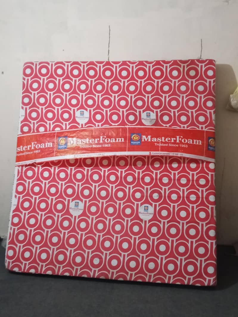 moltyfoam 1