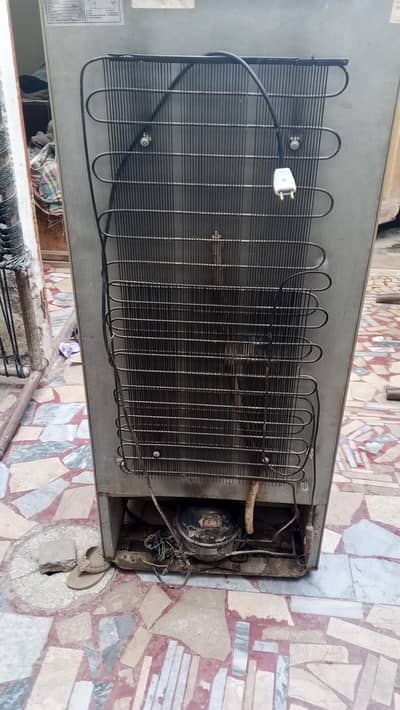 haier company fereage