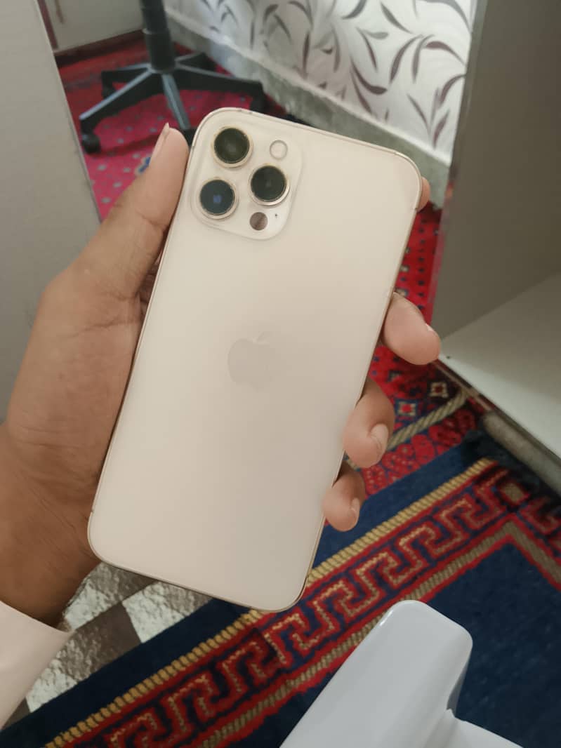 Apple iPhone 12 Pro Max 1