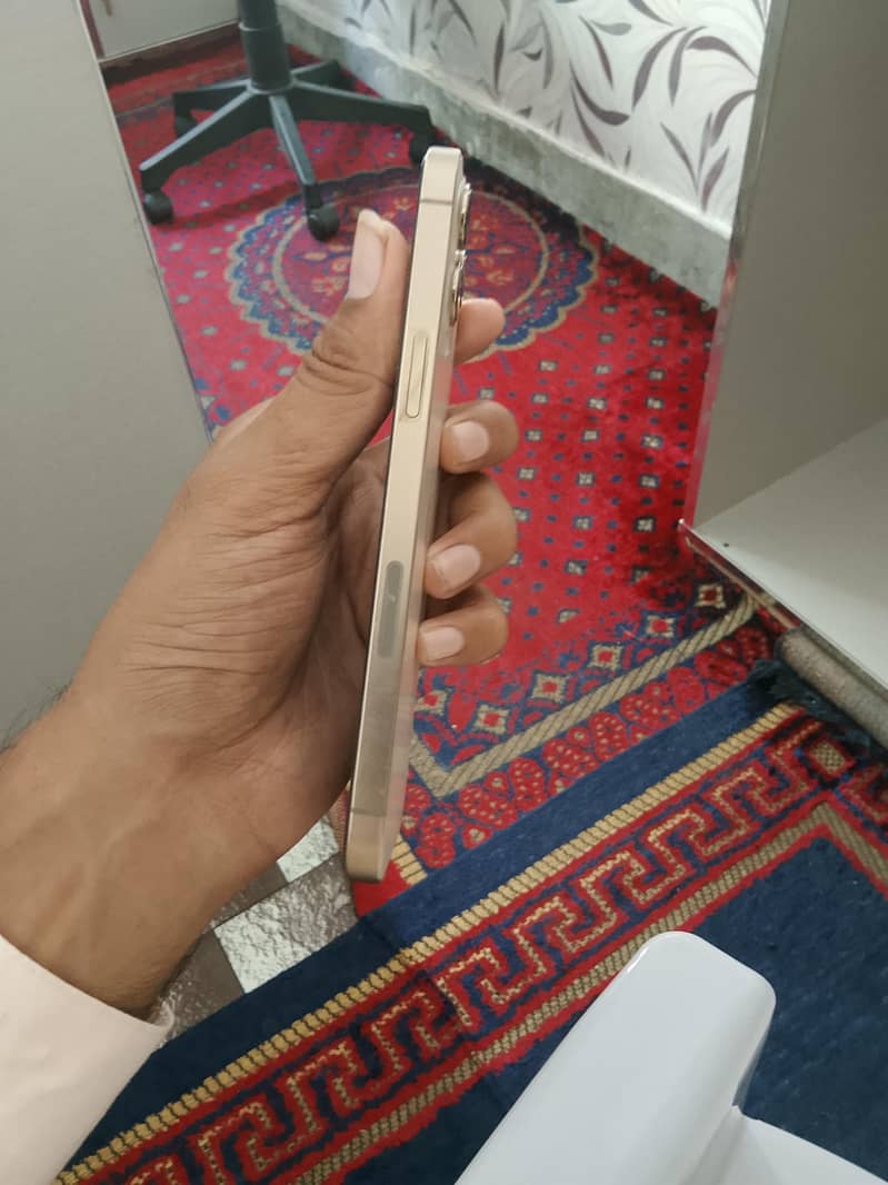 Apple iPhone 12 Pro Max 2