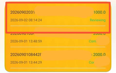 1000 2000 par day earning