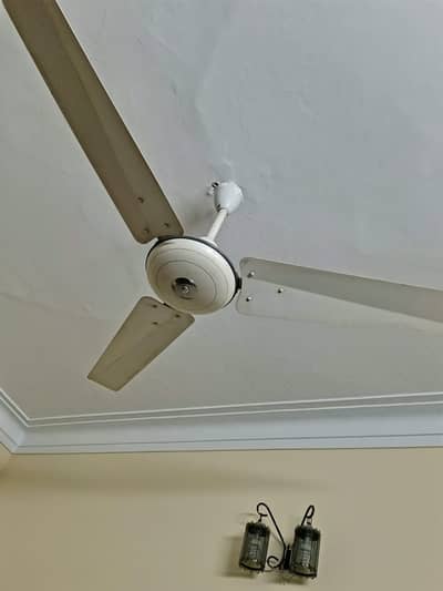Millat Ceiling Fans pure coper