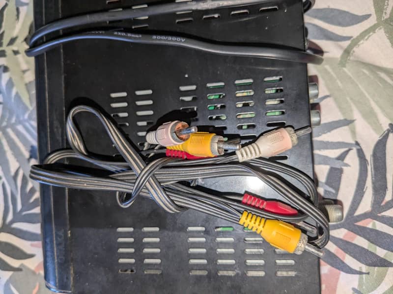 Dish receiver  Echolink 0