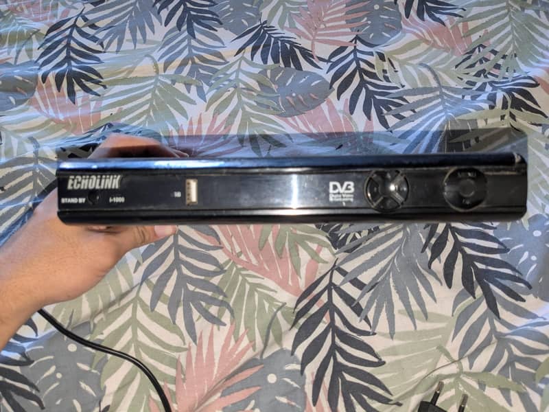 Dish receiver  Echolink 1