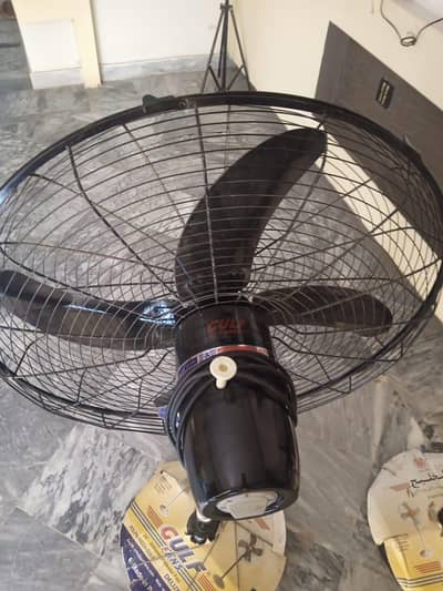 Gulf fan 10/10 copper