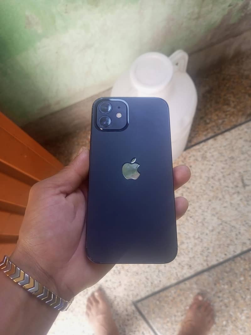 Apple iPhone 12 1