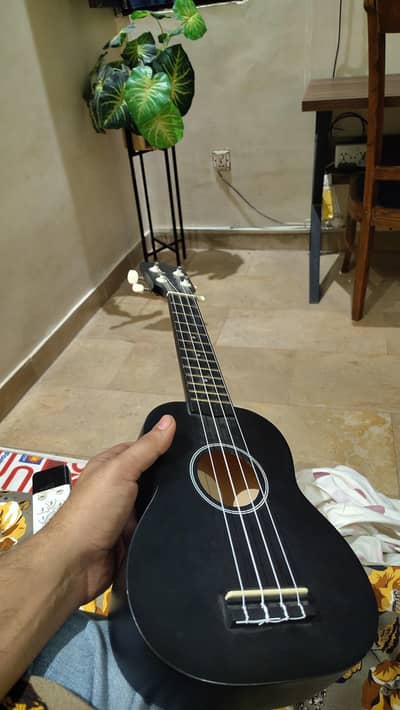 Ukulele with all the accecesories