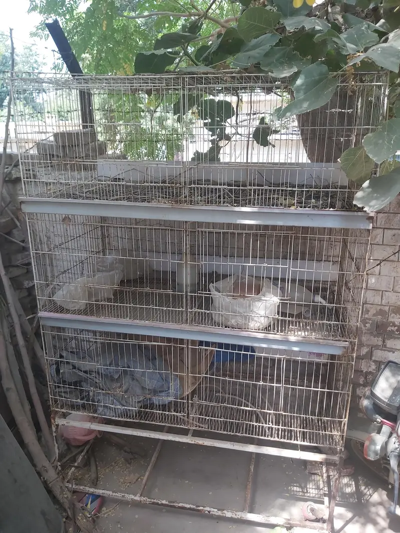CAGE FOR RABITS