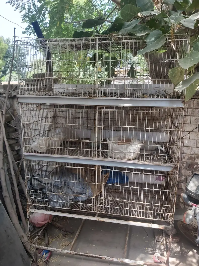 CAGE FOR RABITS — photo 2