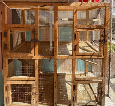 2 Portion Colony Cage with 4 doors 3 By 1.5 Foot