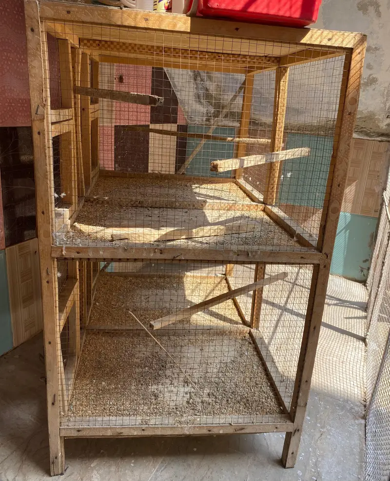 2 Portion Colony Cage with 4 doors 3 By 1.5 Foot — photo 2