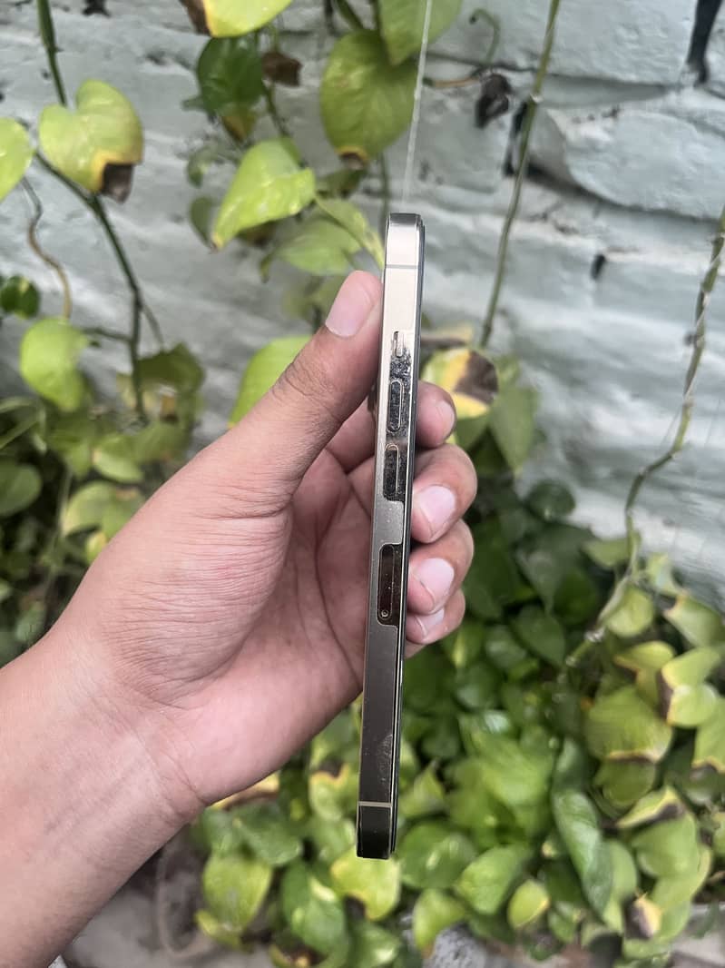 Apple iPhone 13 Pro 1