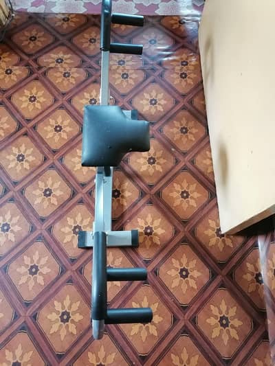 chast. back excrize machine