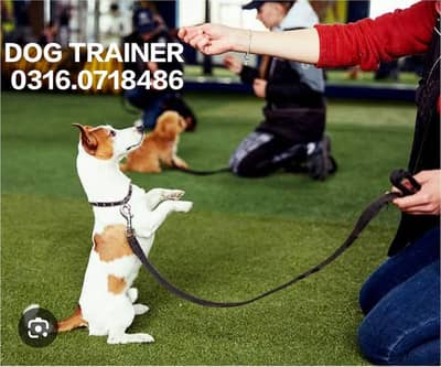 Dog Trainer