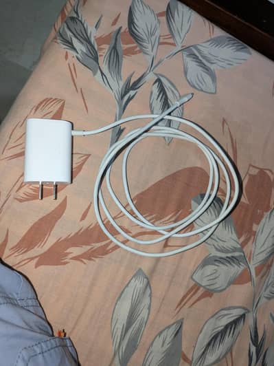 18 watt charger