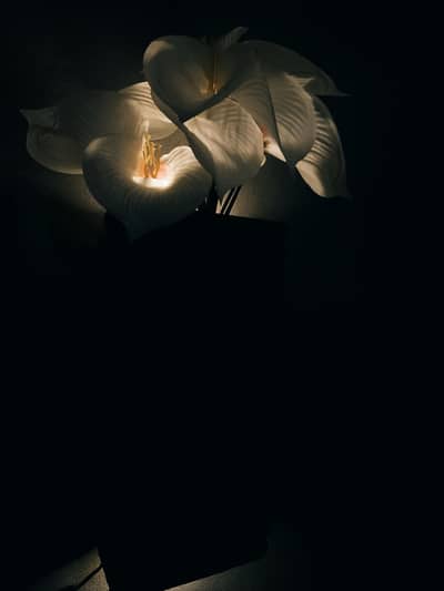 Handmade Flower Wall Lamp - Charger Operated Night Light