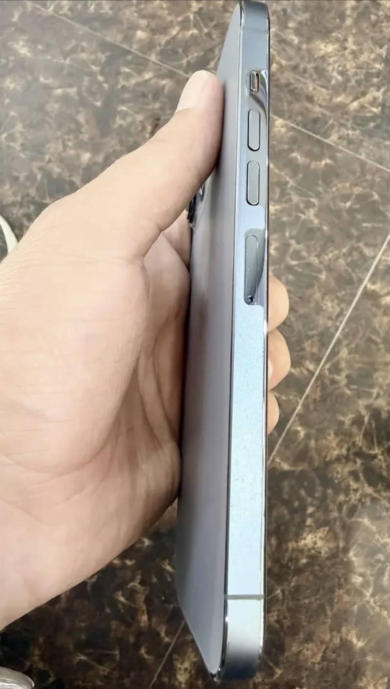 Apple iPhone 13 Pro Max 1