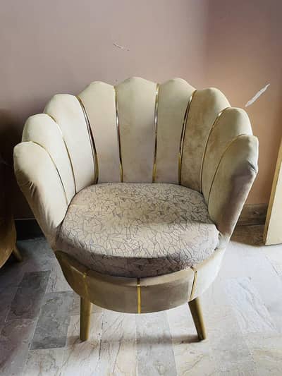 Coffee Sofa Chairs