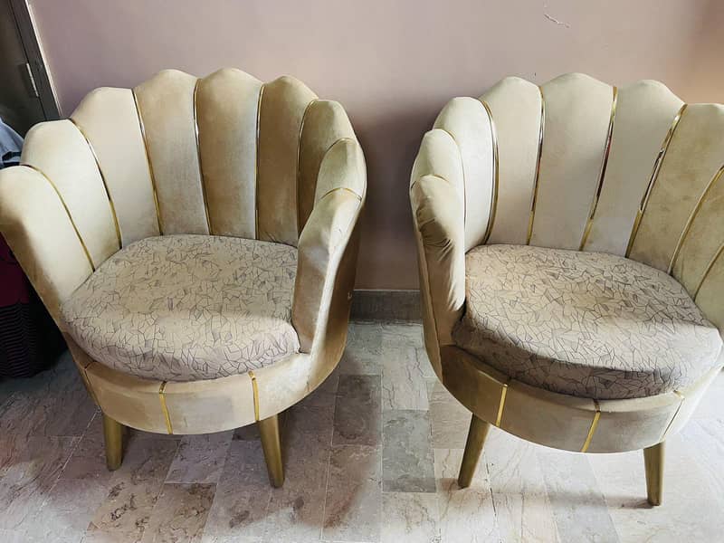 Coffee Sofa Chairs 1