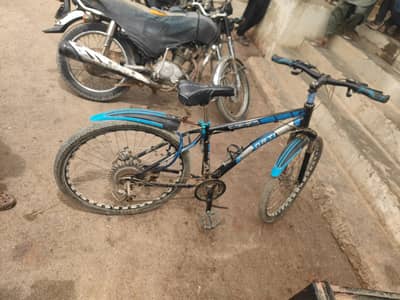 Sports Cycle