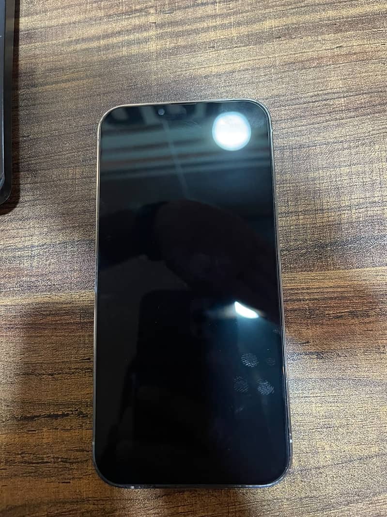 Apple iPhone 13 Pro Max 1