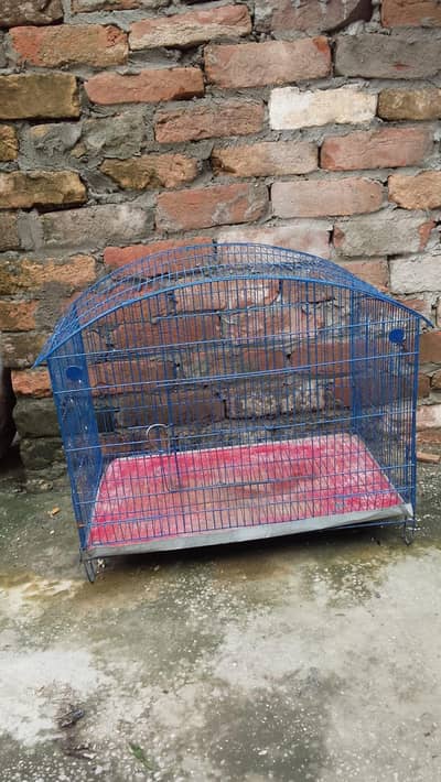 cage for sale