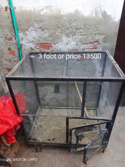 cage for sale