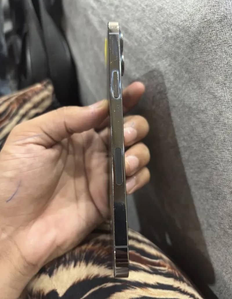 Apple iPhone 12 Pro Max 2