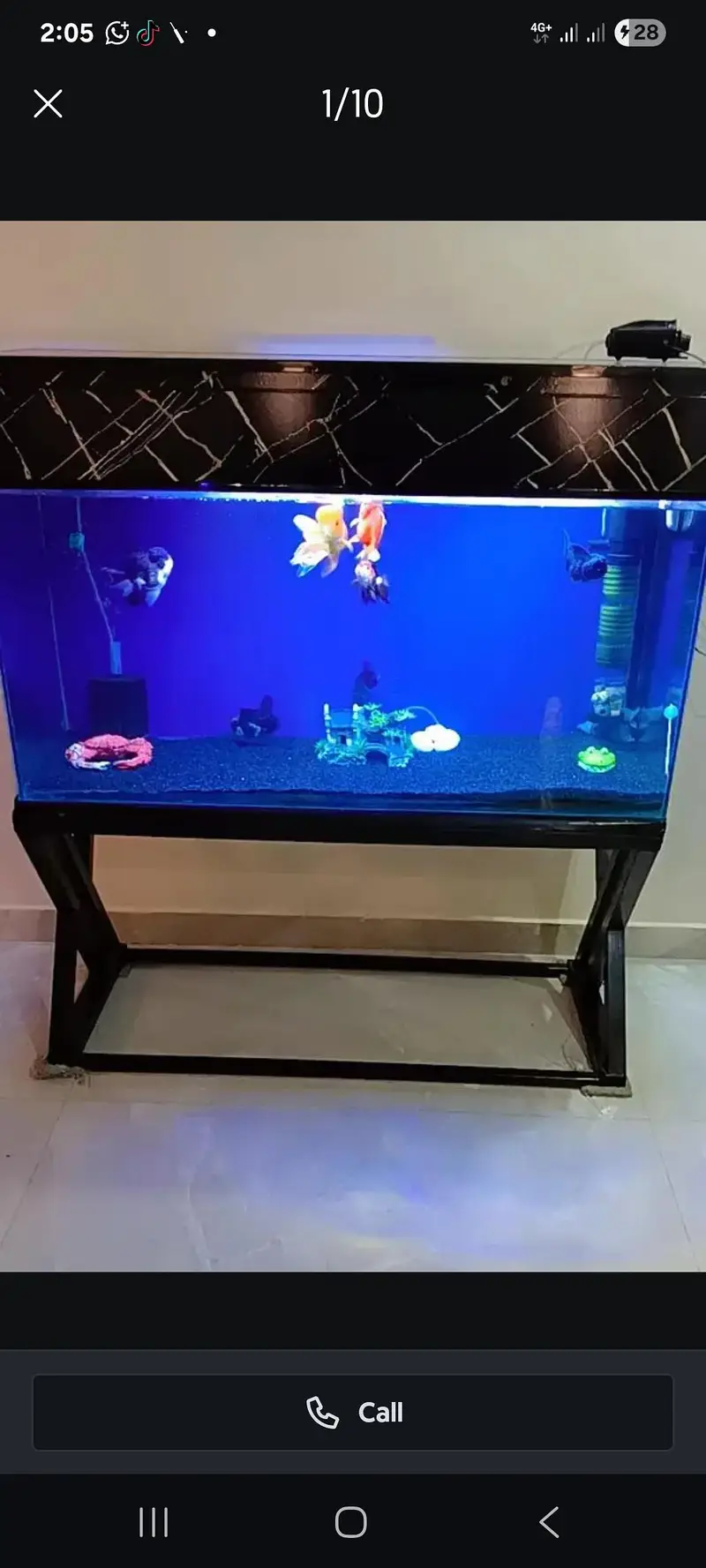 6 imported gold fishes for sale — photo 6