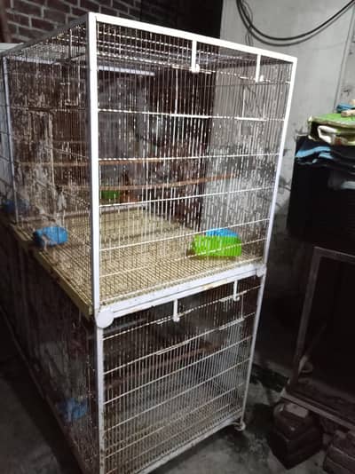 colony cages