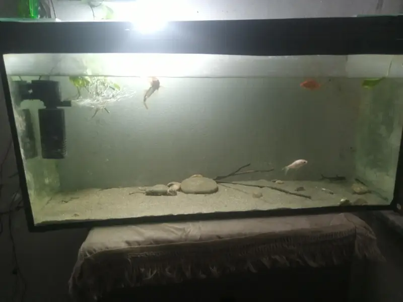 Big 3ft Glass Tank Full Set 7000 - Filter Pump,air pump and sand