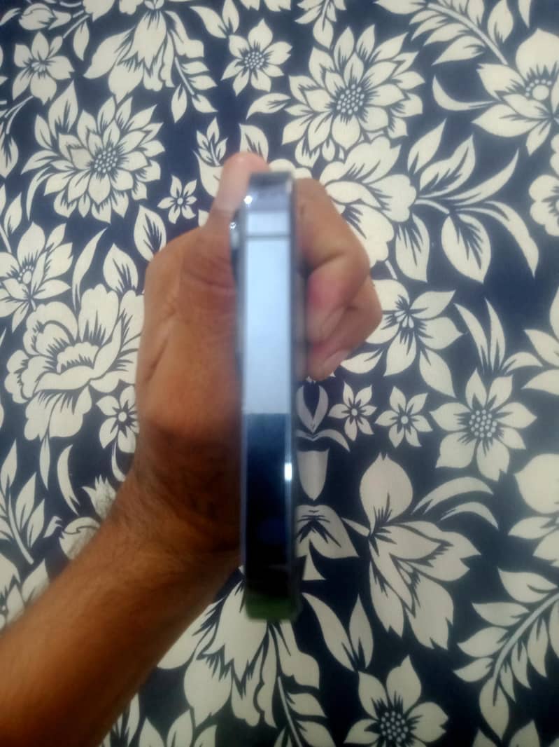 Apple iPhone 13 Pro Max 2