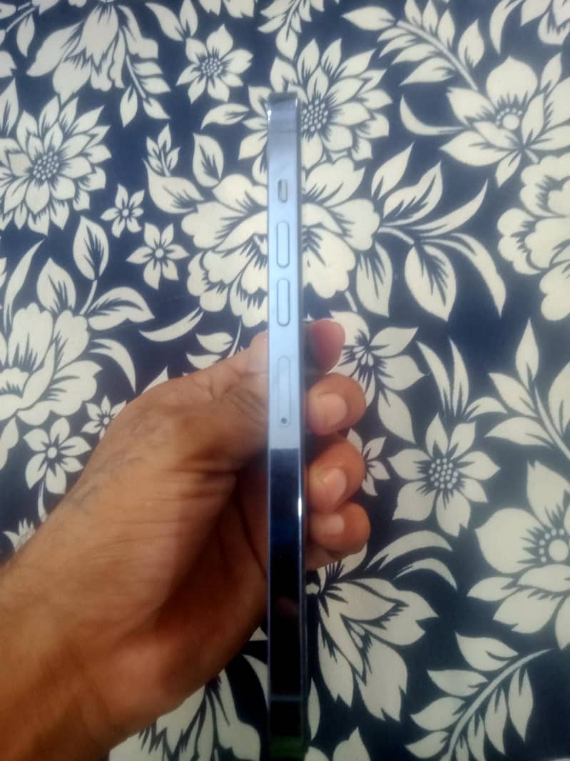 Apple iPhone 13 Pro Max 3