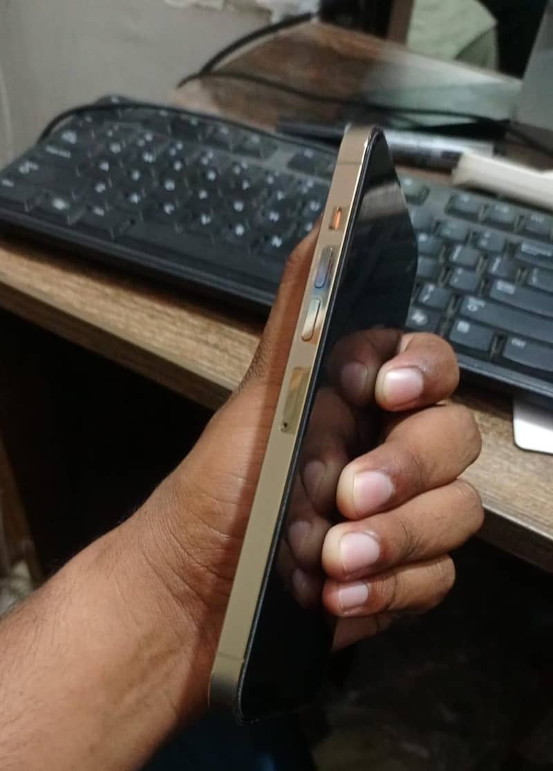 Apple iPhone 13 Pro Max 0