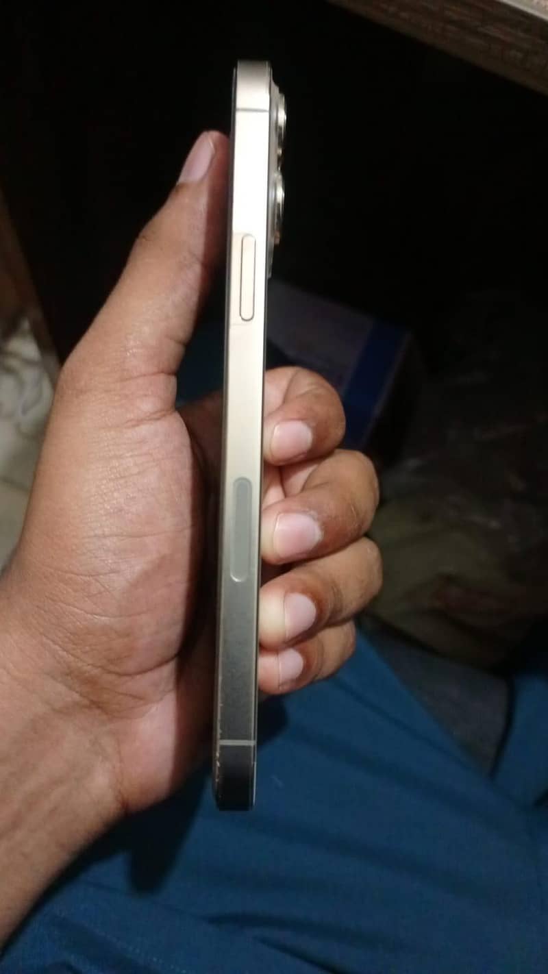 Apple iPhone 13 Pro Max 1