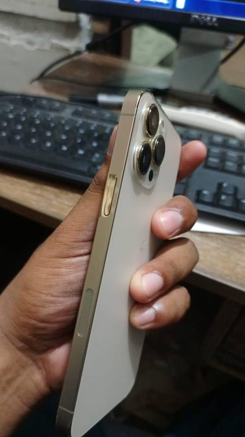 Apple iPhone 13 Pro Max 2