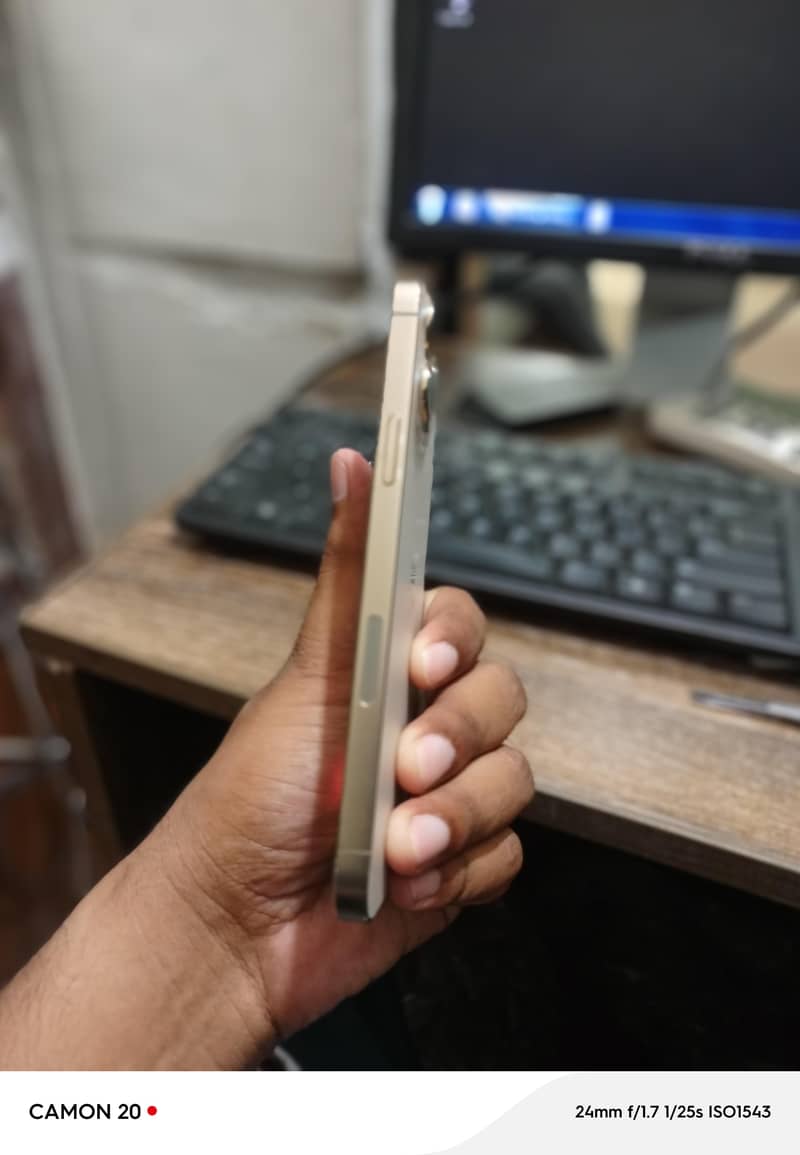 Apple iPhone 13 Pro Max 3