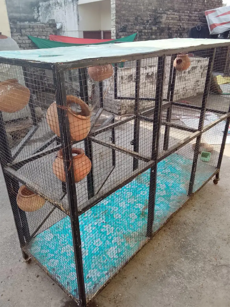 heavy cage for sale — photo 3