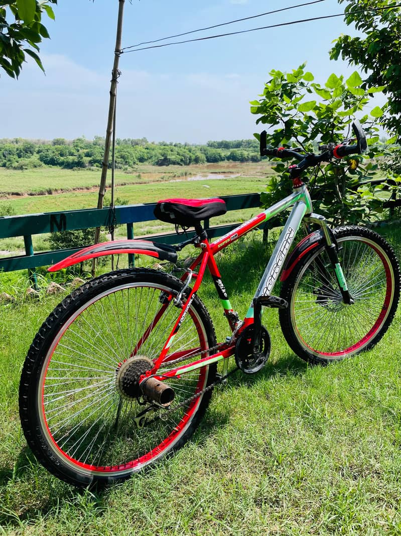 Morgan Bicycle 1