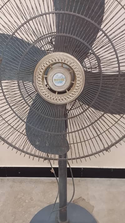 Original Royal Company Fan (Used)