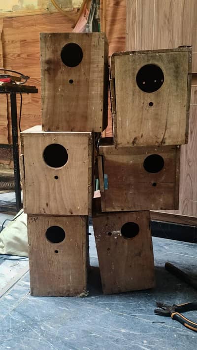 Bird box for sale