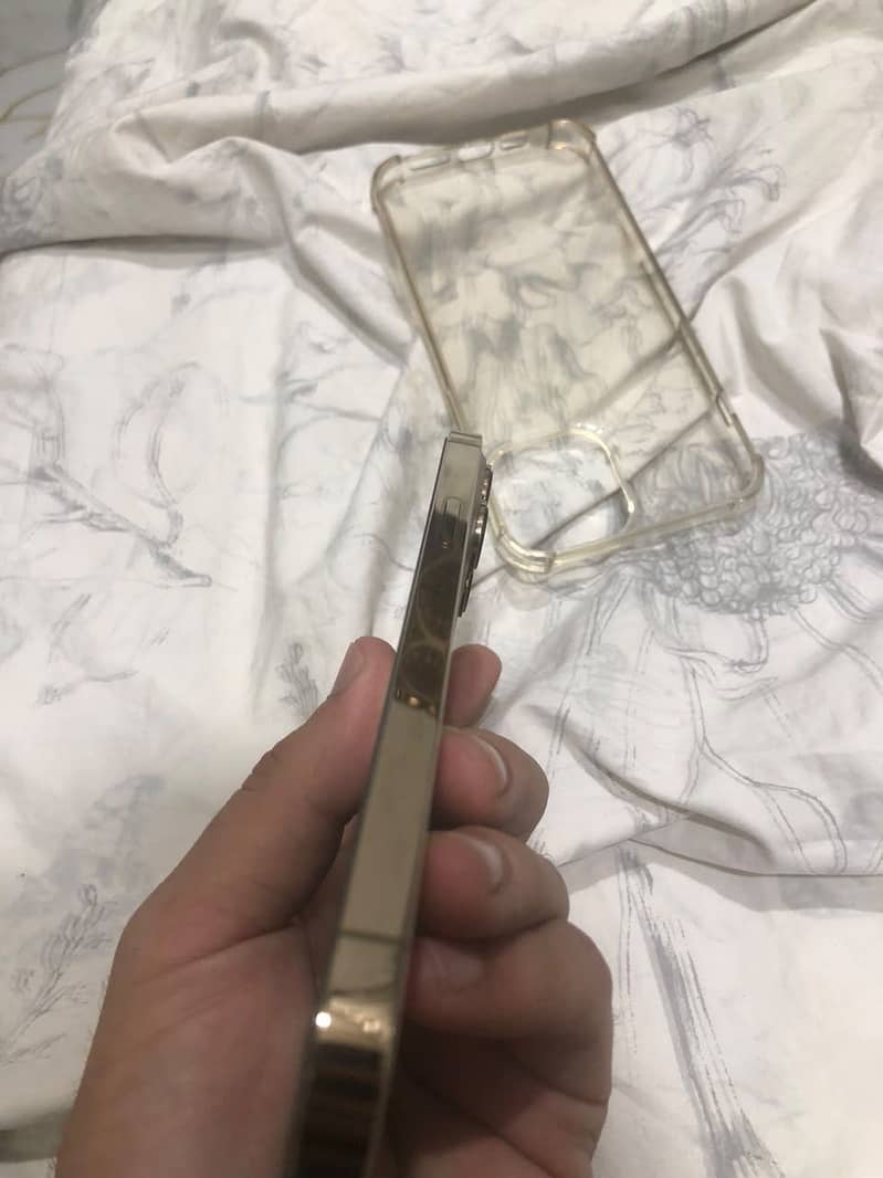 Apple iPhone 13 Pro Max 2
