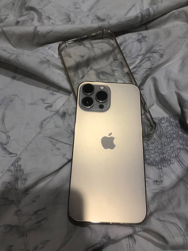 Apple iPhone 13 Pro Max 3