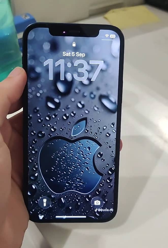 Apple iPhone 12 5