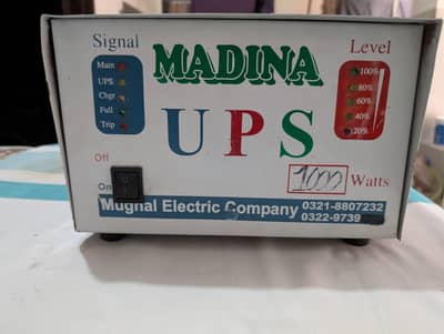 UPS 1000W