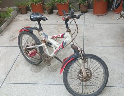 Chicago Sports Bicycle